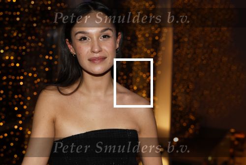 Amstelveen 29 januari 2024
Premiere Kraaij en Kroon van Soy Kroon en Johnny Kraaijkamp in schouwburg in Amstelveen. Holly Brood