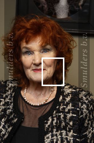 Breukelen 12 februari 2024
Ria Valk viert haar 65 jarig artiesten jubileum en krijgt een koninklijk onderscheiding van de burgemeester van de Ronde Venen. Imca Marina