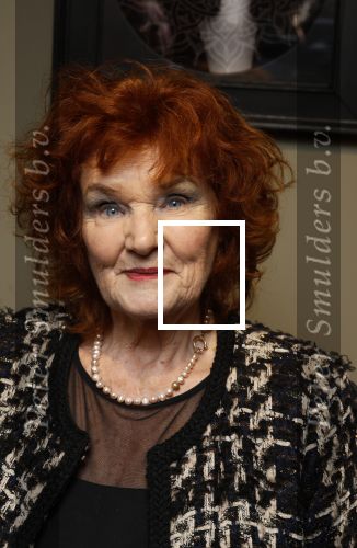 Breukelen 12 februari 2024
Ria Valk viert haar 65 jarig artiesten jubileum en krijgt een koninklijk onderscheiding van de burgemeester van de Ronde Venen. Imca Marina