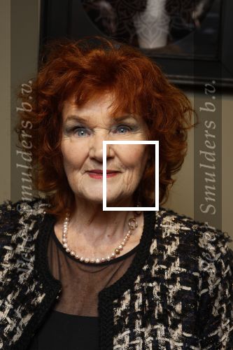 Breukelen 12 februari 2024
Ria Valk viert haar 65 jarig artiesten jubileum en krijgt een koninklijk onderscheiding van de burgemeester van de Ronde Venen. Imca Marina