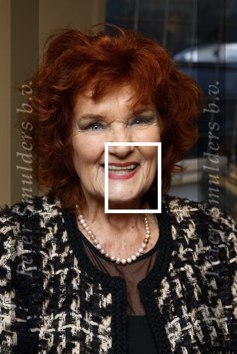 Breukelen 12 februari 2024
Ria Valk viert haar 65 jarig artiesten jubileum en krijgt een koninklijk onderscheiding van de burgemeester van de Ronde Venen. Imca Marina