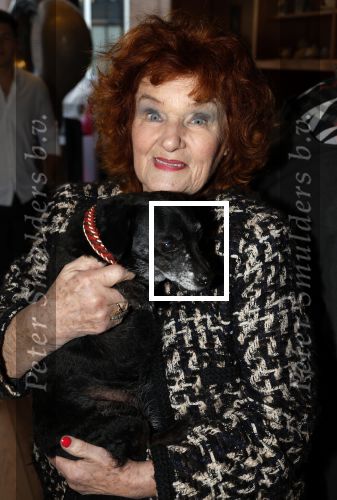 Breukelen 12 februari 2024
Ria Valk viert haar 65 jarig artiesten jubileum en krijgt een koninklijk onderscheiding van de burgemeester van de Ronde Venen. Imca Marina kwam met haar hondje