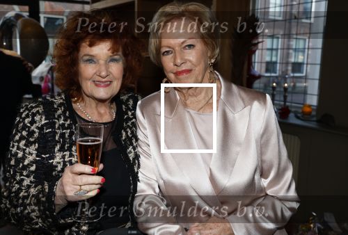 Breukelen 12 februari 2024
Ria Valk viert haar 65 jarig artiesten jubileum en krijgt een koninklijk onderscheiding van de burgemeester van de Ronde Venen. Imca Marina kwam met haar hondje