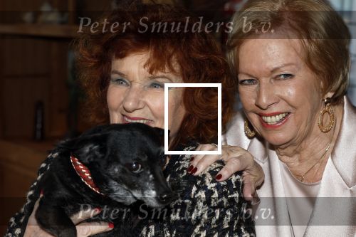 Breukelen 12 februari 2024
Ria Valk viert haar 65 jarig artiesten jubileum en krijgt een koninklijk onderscheiding van de burgemeester van de Ronde Venen. Imca Marina kwam met haar hondje