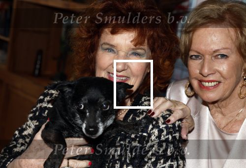 Breukelen 12 februari 2024
Ria Valk viert haar 65 jarig artiesten jubileum en krijgt een koninklijk onderscheiding van de burgemeester van de Ronde Venen. Imca Marina kwam met haar hondje