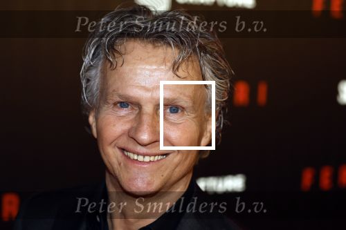 Amsterdam 17 januari 2024
Premiere Ferrari in Pathe arena . Jan Lammers met zijn vrouw