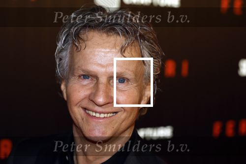 Amsterdam 17 januari 2024
Premiere Ferrari in Pathe arena . Jan Lammers met zijn vrouw