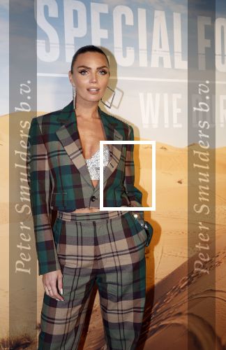Amsterdam 24 januari 2024
Presentatie special firces Vips in de ADAM Toren . Kim feenstra