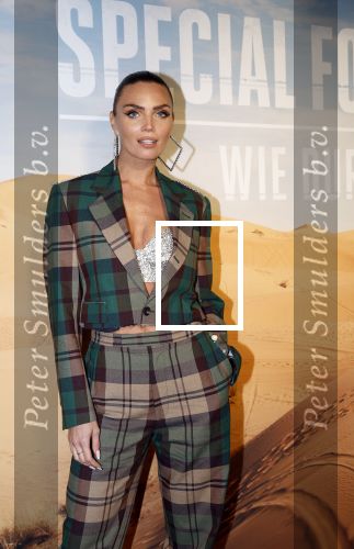 Amsterdam 24 januari 2024
Presentatie special firces Vips in de ADAM Toren . Kim feenstra