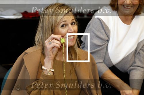 Almere 24 januari 2024
Soort van mini streekbezoek van Koningin Maxima aan Almere.