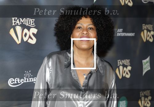 Amsterdam 3 februari 2024
Premiere Familie Vos in Pathe Arena. Manouskha Zeegelaar Breedveld