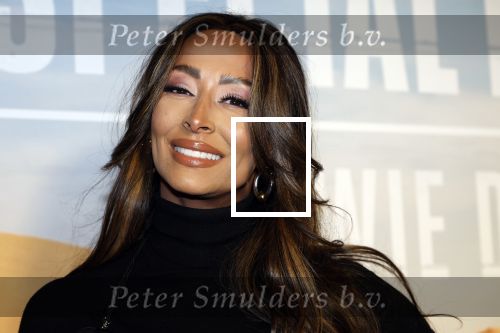 Amsterdam 24 januari 2024
Presentatie special firces Vips in de ADAM Toren . Maria Tailor
