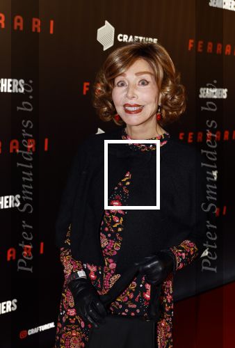Amsterdam 17 januari 2024
Premiere Ferrari in Pathe arena . Marijke Helwegen