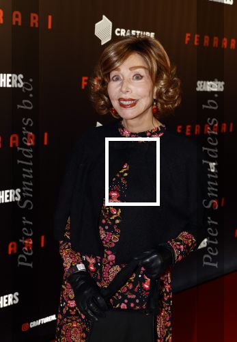 Amsterdam 17 januari 2024
Premiere Ferrari in Pathe arena . Marijke Helwegen