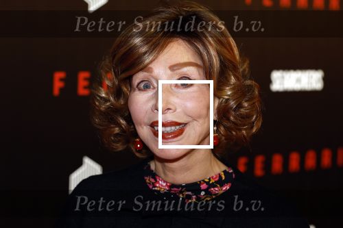 Amsterdam 17 januari 2024
Premiere Ferrari in Pathe arena . Marijke Helwegen