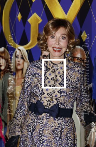 Amsterdam 30 januari 2024
Premiere Argylle in Pathe Arena. Marijke Helwegen