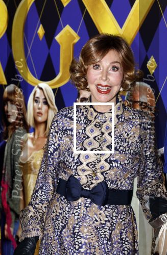 Amsterdam 30 januari 2024
Premiere Argylle in Pathe Arena. Marijke Helwegen