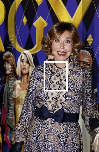 Amsterdam 30 januari 2024
Premiere Argylle in Pathe Arena. Marijke Helwegen
