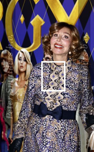 Amsterdam 30 januari 2024
Premiere Argylle in Pathe Arena. Marijke Helwegen