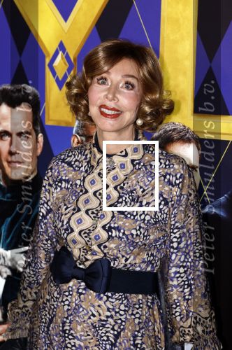 Amsterdam 30 januari 2024
Premiere Argylle in Pathe Arena. Marijke Helwegen