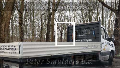 Noordwijkerhout 15 februari 2024
Op nde locatie gaan Maxime Meiland Martien Meiland en Erica Meiland twee huizen bouwen . De electriciteitsvoorxieningen staan er al en er zijn al meerdere bomen gekapt.