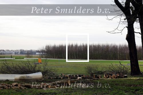 Noordwijkerhout 15 februari 2024
Op nde locatie gaan Maxime Meiland Martien Meiland en Erica Meiland twee huizen bouwen . De electriciteitsvoorxieningen staan er al en er zijn al meerdere bomen gekapt.