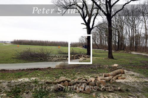 Noordwijkerhout 15 februari 2024
Op nde locatie gaan Maxime Meiland Martien Meiland en Erica Meiland twee huizen bouwen . De electriciteitsvoorxieningen staan er al en er zijn al meerdere bomen gekapt.