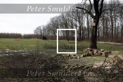 Noordwijkerhout 15 februari 2024
Op nde locatie gaan Maxime Meiland Martien Meiland en Erica Meiland twee huizen bouwen . De electriciteitsvoorxieningen staan er al en er zijn al meerdere bomen gekapt.