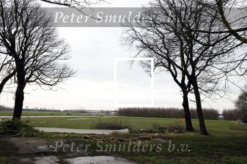 Noordwijkerhout 15 februari 2024
Op nde locatie gaan Maxime Meiland Martien Meiland en Erica Meiland twee huizen bouwen . De electriciteitsvoorxieningen staan er al en er zijn al meerdere bomen gekapt.