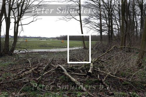 Noordwijkerhout 15 februari 2024
Op nde locatie gaan Maxime Meiland Martien Meiland en Erica Meiland twee huizen bouwen . De electriciteitsvoorxieningen staan er al en er zijn al meerdere bomen gekapt.