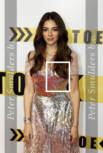 Amsterdam 29 januari 2024
Premiere Scotoe in Tuschinski met oa in de cast Sinan Eroglu Mohammed Chara Rose Bertram Said Boumazoughe Melisa Asli Pamuk Ferdi Stofmeel Daphne Deckers Emma Deckers en Oscar Aerts.