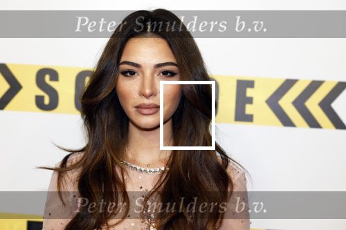 Amsterdam 29 januari 2024
Premiere Scotoe in Tuschinski met oa in de cast Sinan Eroglu Mohammed Chara Rose Bertram Said Boumazoughe Melisa Asli Pamuk Ferdi Stofmeel Daphne Deckers Emma Deckers en Oscar Aerts.