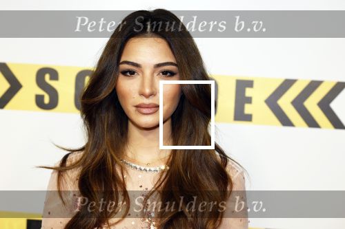 Amsterdam 29 januari 2024
Premiere Scotoe in Tuschinski met oa in de cast Sinan Eroglu Mohammed Chara Rose Bertram Said Boumazoughe Melisa Asli Pamuk Ferdi Stofmeel Daphne Deckers Emma Deckers en Oscar Aerts.