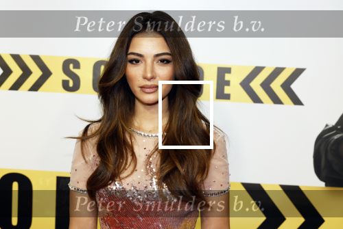 Amsterdam 29 januari 2024
Premiere Scotoe in Tuschinski met oa in de cast Sinan Eroglu Mohammed Chara Rose Bertram Said Boumazoughe Melisa Asli Pamuk Ferdi Stofmeel Daphne Deckers Emma Deckers en Oscar Aerts.