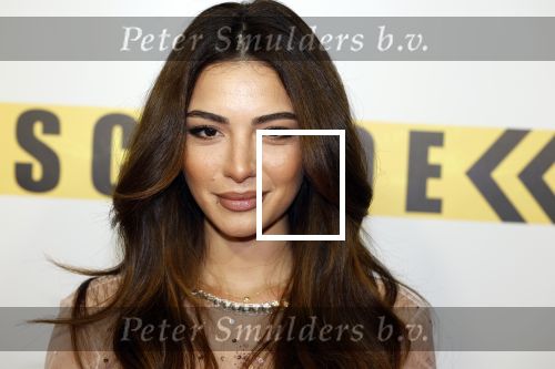Amsterdam 29 januari 2024
Premiere Scotoe in Tuschinski met oa in de cast Sinan Eroglu Mohammed Chara Rose Bertram Said Boumazoughe Melisa Asli Pamuk Ferdi Stofmeel Daphne Deckers Emma Deckers en Oscar Aerts.