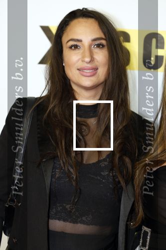 Amsterdam 29 januari 2024
Premiere Scotoe in Tuschinski met oa in de cast Sinan Eroglu Mohammed Chara Rose Bertram Said Boumazoughe Melisa Asli Pamuk Ferdi Stofmeel Daphne Deckers Emma Deckers en Oscar Aerts. Mounira Mansour