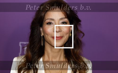 Den Bosch 27 januari 2024
Premiere verliefd op ibiza in de Brabant Hallen. Nadja Hupscher kwam met haar man en zoons