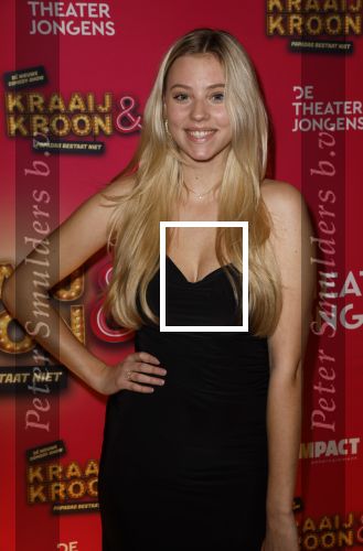 Amstelveen 29 januari 2024
Premiere Kraaij en Kroon van Soy Kroon en Johnny Kraaijkamp in schouwburg in Amstelveen. Noa Jacobus
