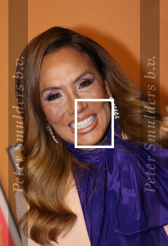 Amsterdam, 18 Februari 2024
Premiere Documentaire Patty Brard voor Videoland
Patty Bard