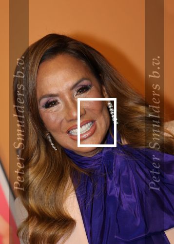 Amsterdam, 18 Februari 2024
Premiere Documentaire Patty Brard voor Videoland
Patty Bard