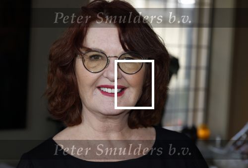 Breukelen 12 februari 2024
Ria Valk viert haar 65 jarig artiesten jubileum en krijgt een koninklijk onderscheiding van de burgemeester van de Ronde Venen. Patty Harpenau