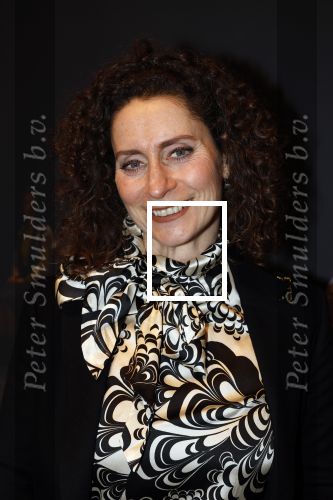 Amstelveen 26 februari 2024
Premiere Je Anne in de schouwburg van Amstelveen . Pia Douwes