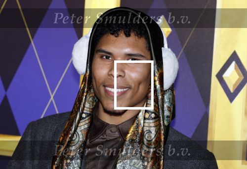 Amsterdam 30 januari 2024
Premiere Argylle in Pathe Arena.