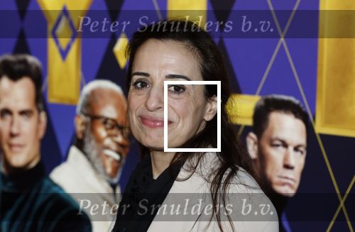 Amsterdam 30 januari 2024
Premiere Argylle in Pathe Arena.