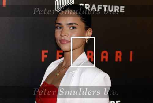 Amsterdam 17 januari 2024
Premiere Ferrari in Pathe arena