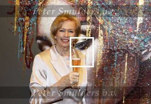 Breukelen 12 februari 2024
Ria Valk viert haar 65 jarig artiesten jubileum en krijgt een koninklijk onderscheiding van de burgemeester van de Ronde Venen.