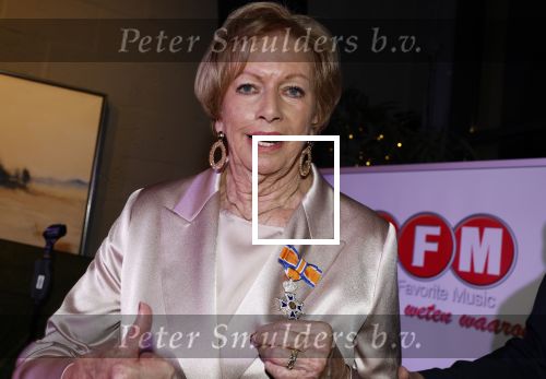 Breukelen 12 februari 2024
Ria Valk viert haar 65 jarig artiesten jubileum en krijgt een koninklijk onderscheiding van de burgemeester van de Ronde Venen.