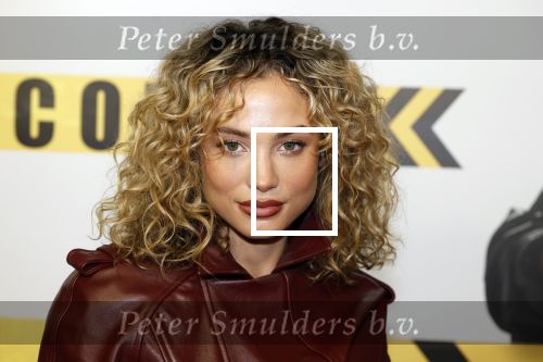 Amsterdam 29 januari 2024
Premiere Scotoe in Tuschinski met oa in de cast Sinan Eroglu Mohammed Chara Rose Bertram Said Boumazoughe Melisa Asli Pamuk Ferdi Stofmeel Daphne Deckers Emma Deckers en Oscar Aerts.