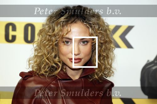 Amsterdam 29 januari 2024
Premiere Scotoe in Tuschinski met oa in de cast Sinan Eroglu Mohammed Chara Rose Bertram Said Boumazoughe Melisa Asli Pamuk Ferdi Stofmeel Daphne Deckers Emma Deckers en Oscar Aerts.