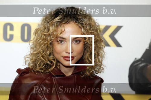 Amsterdam 29 januari 2024
Premiere Scotoe in Tuschinski met oa in de cast Sinan Eroglu Mohammed Chara Rose Bertram Said Boumazoughe Melisa Asli Pamuk Ferdi Stofmeel Daphne Deckers Emma Deckers en Oscar Aerts.